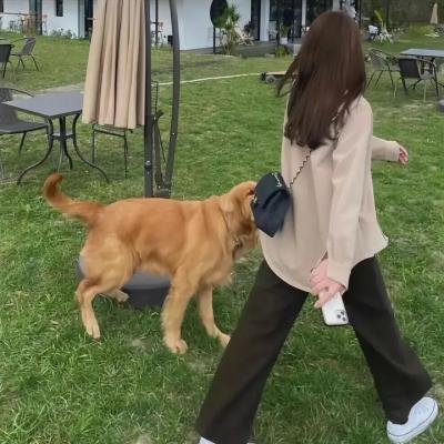 新娘航班